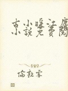 古小暖江尘御的小说免费阅读