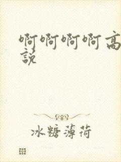 啊啊啊啊高h小说