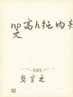 np高h纯肉辣文