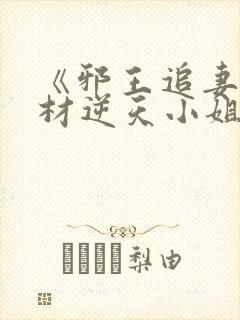 《邪王追妻:废材逆天小姐