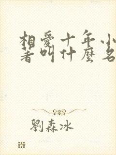 相爱十年小说原著叫什么名字封面