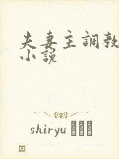 夫妻主调教sm小说