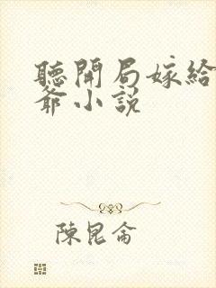 听开局嫁给傻王爷小说