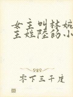 女主叫林婉清男主姓陆的小说