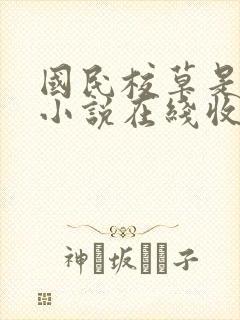 国民校草是女生小说在线收听