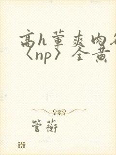 高h荤爽肉欲文〈np〉全黄