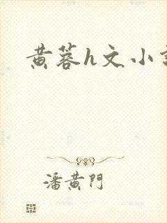 黄蓉h文小说