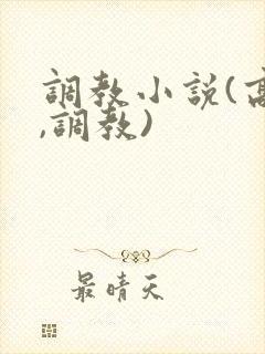 调教小说(高h,调教)