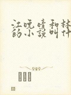 江晚晴和林书远的小说叫什么名字封面