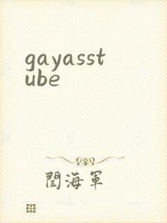 gayasstube封面