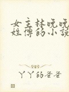 女主林晚晚男主姓傅的小说