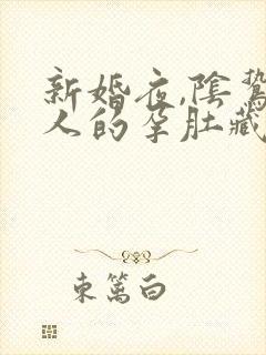 新婚夜,阴鸷美人的孕肚藏不住了封面