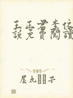 王正君李依然小说免费阅读