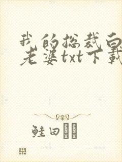 我的总裁白富美老婆txt下载