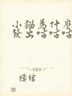 小猫为什么一直发出咕咕咕的声音