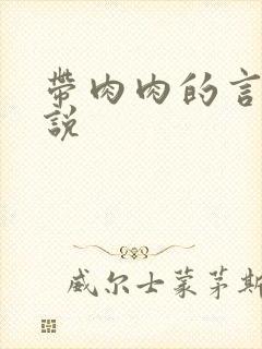 带肉肉的言情小说封面