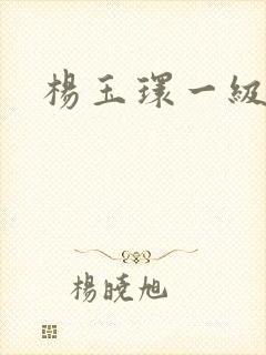 杨玉环一级淫片封面