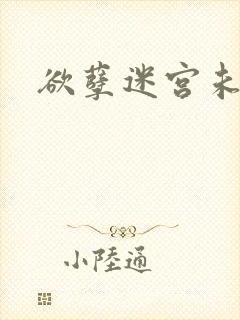 欲孽迷宫未删减