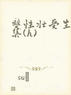 双性壮受生子合集(h)