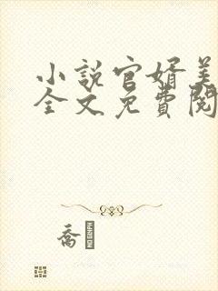 小说官婿美人香全文免费阅读