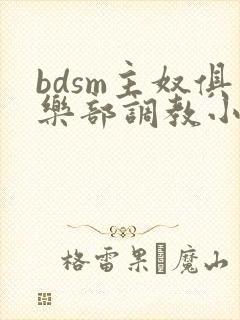 bdsm主奴俱乐部调教小说