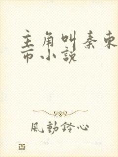 主角叫秦东的都市小说