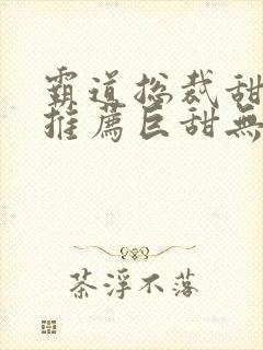 霸道总裁甜宠文推荐巨甜无虐