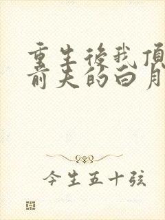 重生后我顶替了前夫的白月光