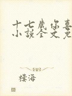 十七岁你喜欢谁小说全文免费阅读封面