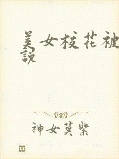 美女校花被艹小说