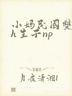 小妈民国双性高h生子np