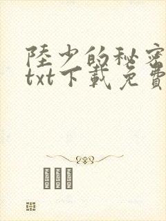 陆少的秘密恋人txt下载免费