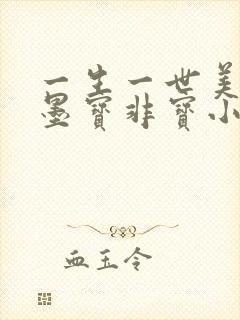 一生一世美人骨墨宝非宝小说全文免费