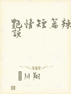艳情短篇辣文小说