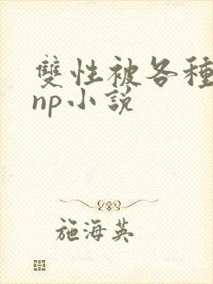 双性被各种淫玩np小说
