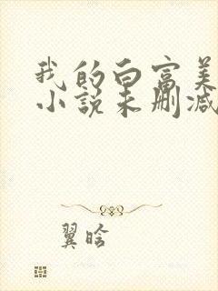 我的白富美老婆小说未删减版封面