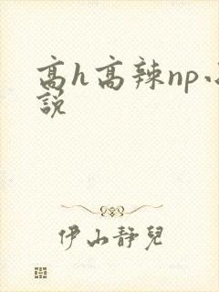 高h高辣np小说
