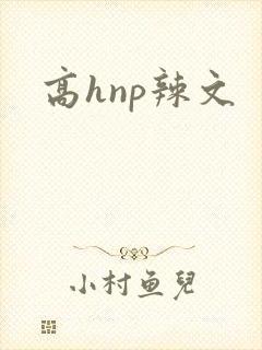 高hnp辣文封面
