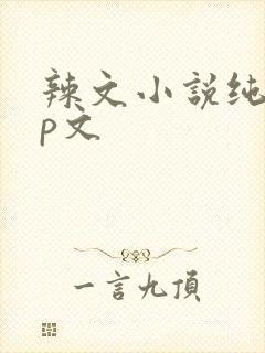 辣文小说纯肉np文