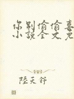 你别偷偷喜欢我小说全文免费阅读