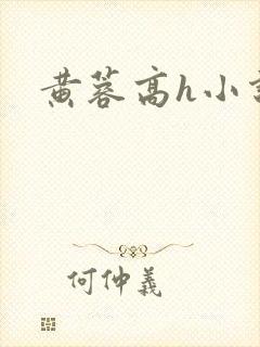 黄蓉高h小说封面
