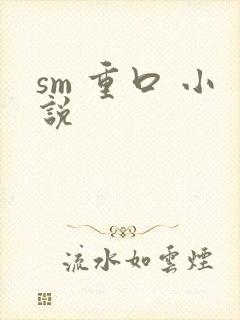 sm 重口 小说封面