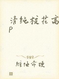 清纯校花高hnp