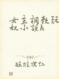 女主调教玩弄男奴小说h封面