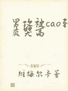 男攻被cao到爽哭高