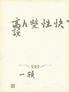 高h双性快穿小说封面