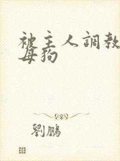 被主人调教成骚母狗封面