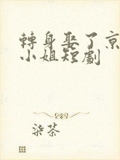 转身娶了京圈大小姐短剧封面