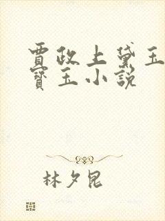 贾政上黛玉贾敏宝玉小说封面