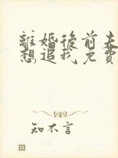 离婚后前夫总是想追我免费阅读